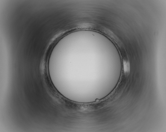 X0000115850579200911201615
