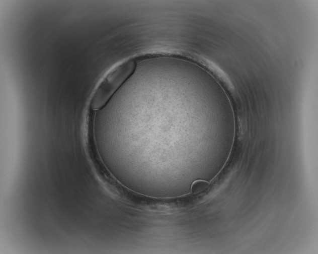 X0000115850580200911201615