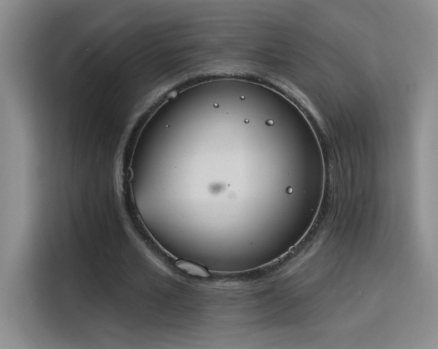X0000115850581200911201615