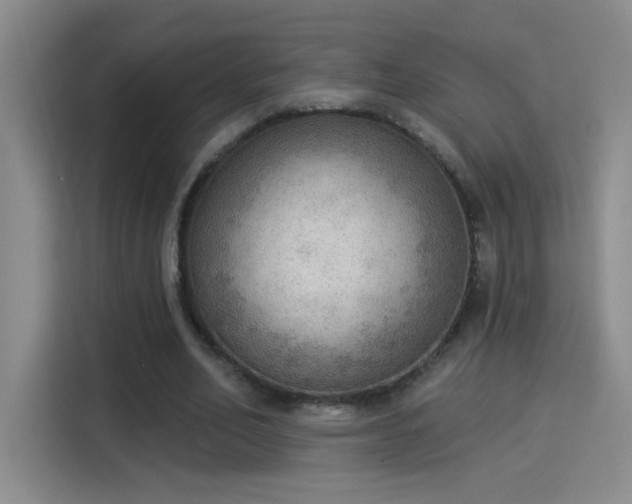 X0000115850582200911201615