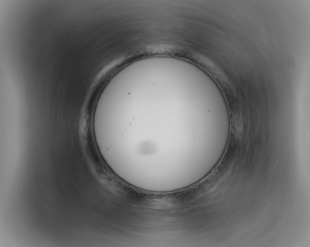 X0000115850583200911201615