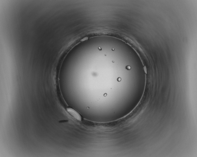 X0000115850585200911201615