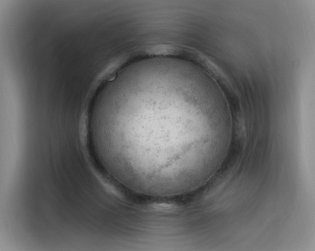 X0000115850586200911201615