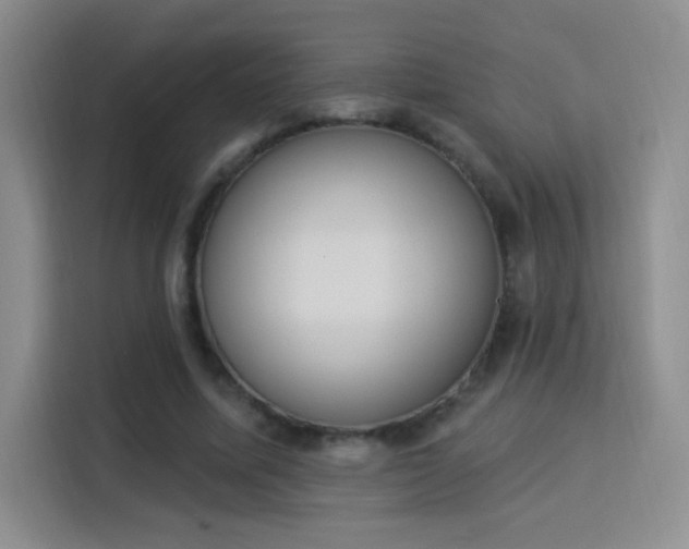 X0000115850587200911201615