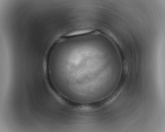 X0000115850589200911201615