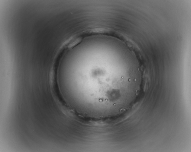 X0000115850591200911201615