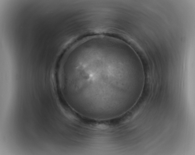 X0000115850592200911201615