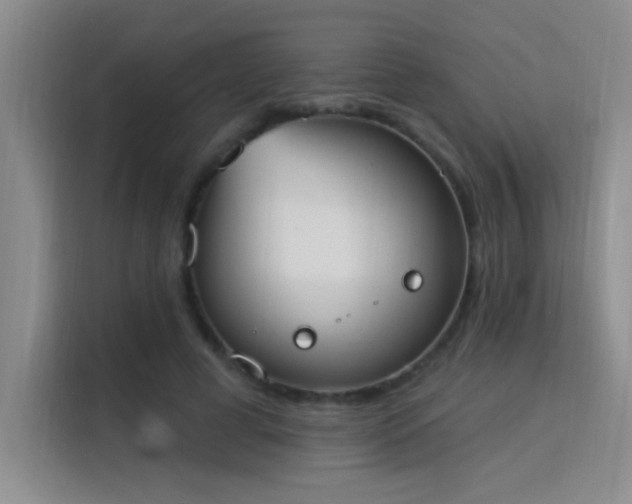 X0000115850593200911201615