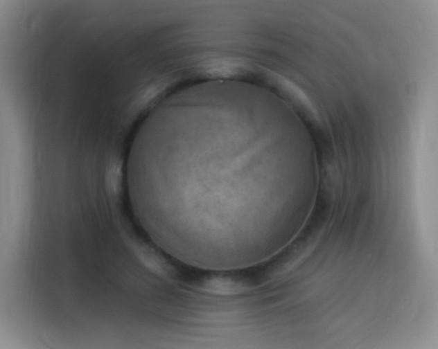 X0000115850596200911201615