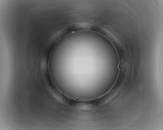 X0000115850597200911201615