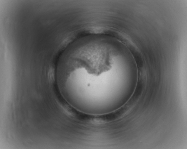 X0000115850598200911201615