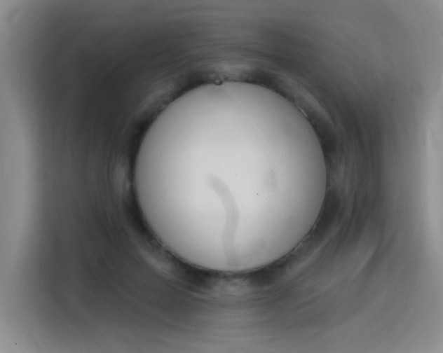 X0000115850599200911201615