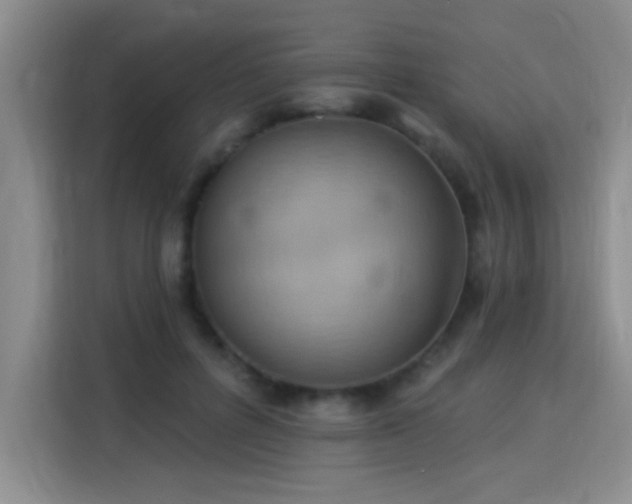 X0000115850600200911201615