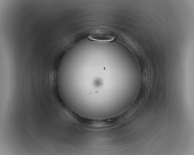 X0000115850605200911201615