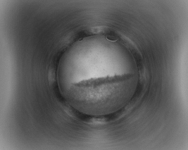 X0000115850606200911201615