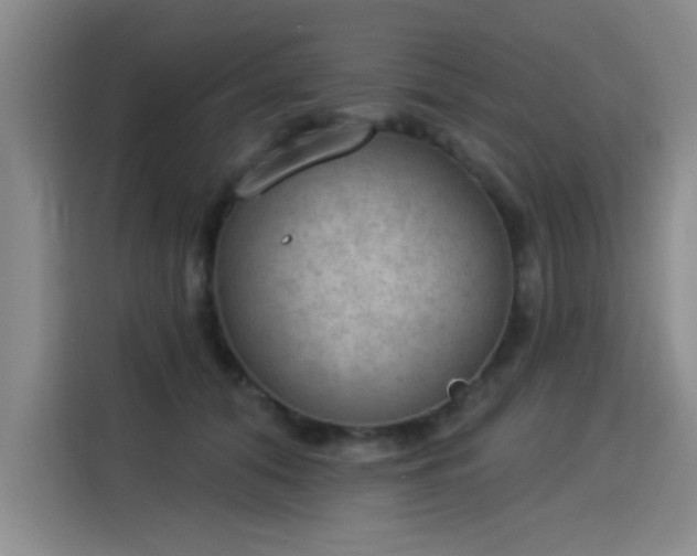 X0000115850608200911201615
