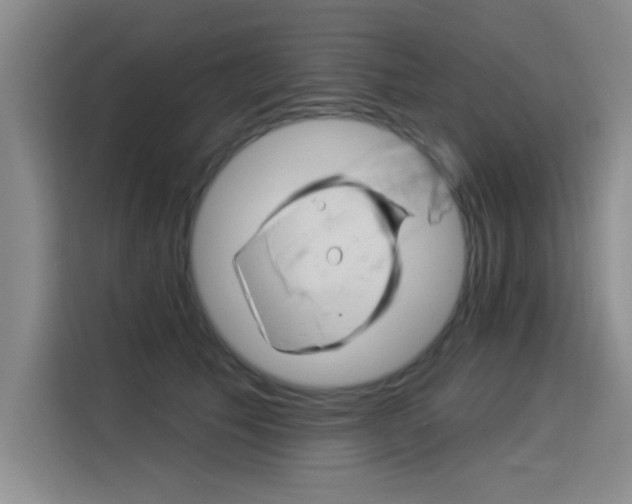 X0000115850609200911201615