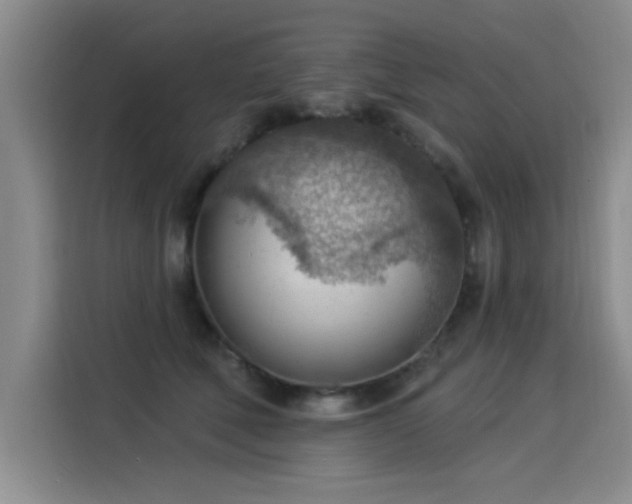 X0000115850610200911201615