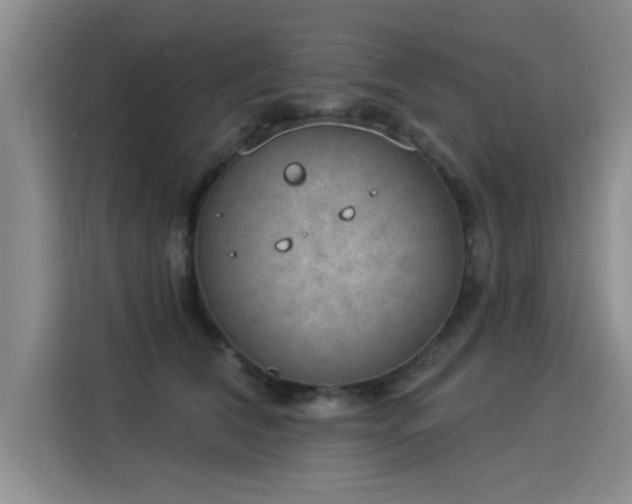 X0000115850612200911201615