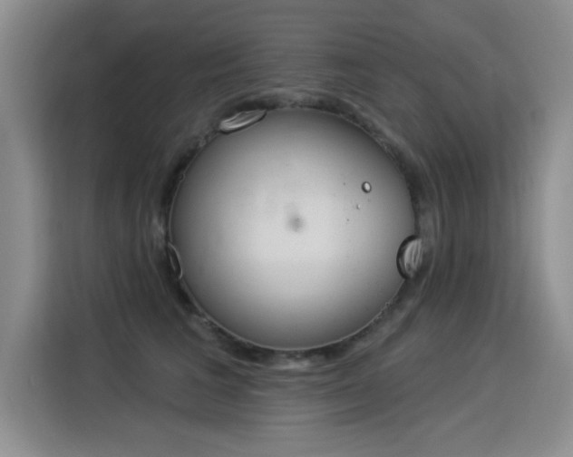 X0000115850613200911201615