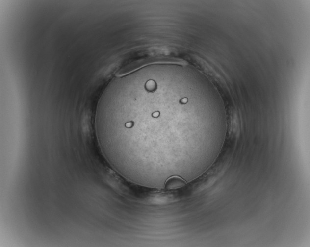 X0000115850616200911201615
