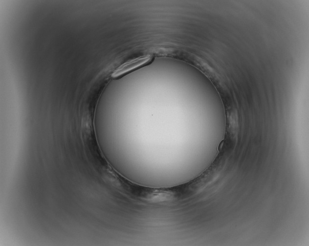 X0000115850617200911201615