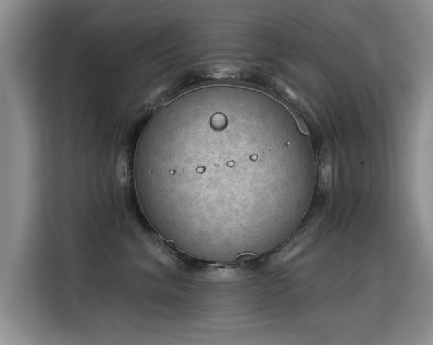 X0000115850620200911201615