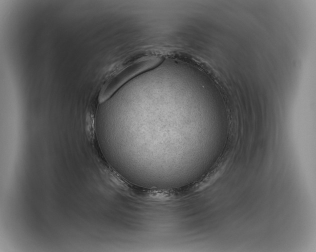 X0000115850624200911201615