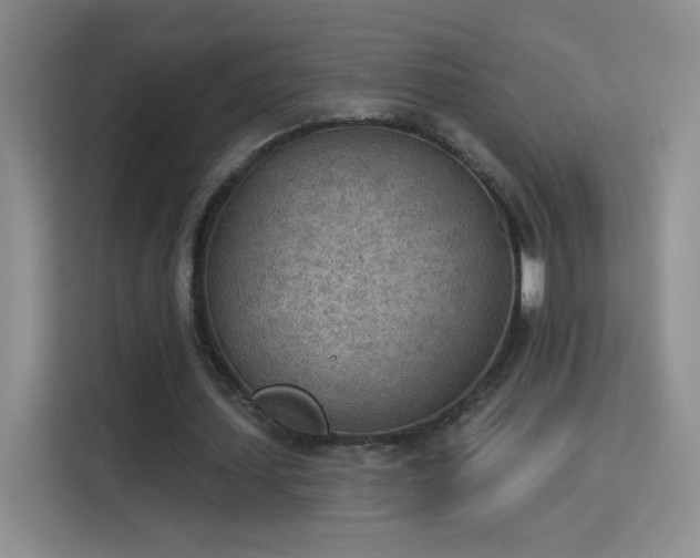 X0000115850627200911201614
