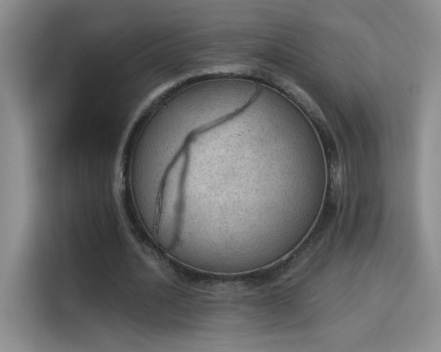 X0000115850628200911201614