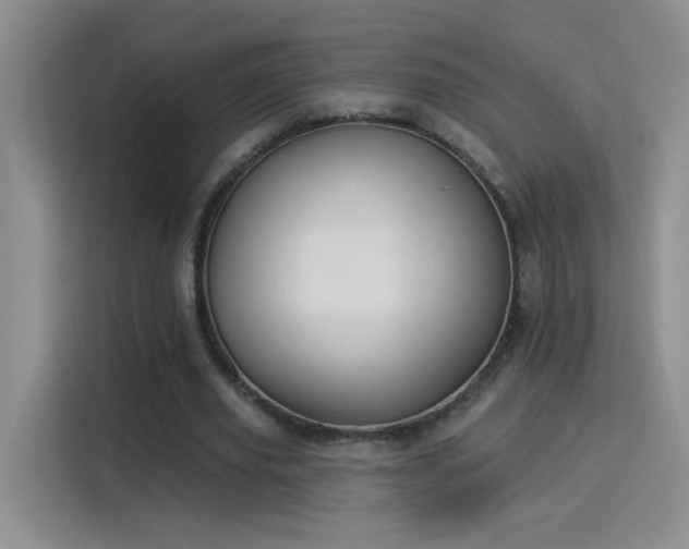 X0000115850629200911201614