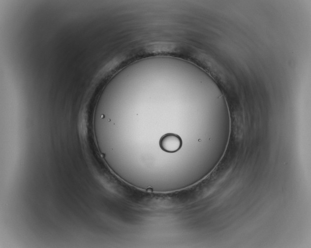 X0000115850631200911201614