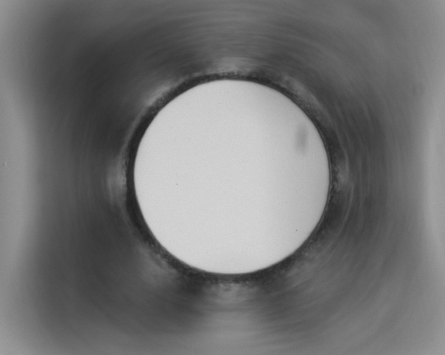 X0000115850632200911201614