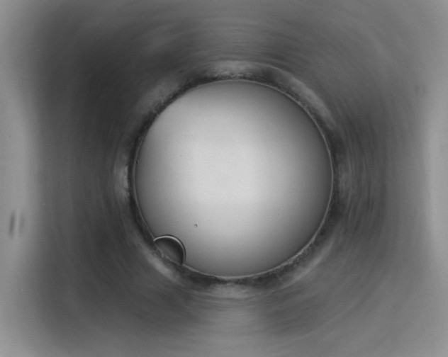 X0000115850633200911201614