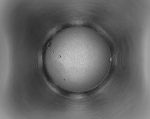 X0000115850638200911201614