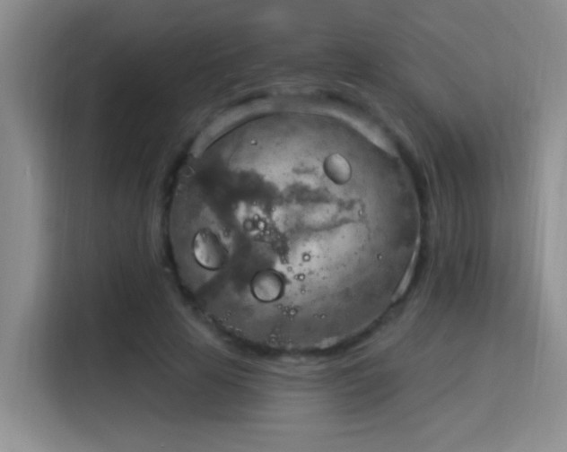 X0000115850641200911201614