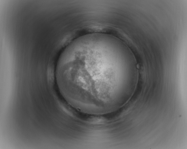 X0000115850642200911201614