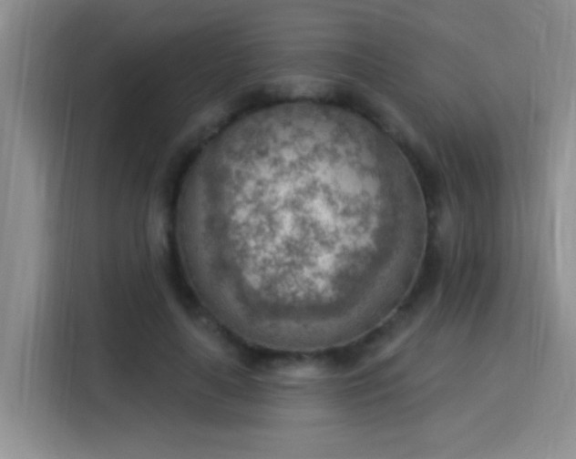 X0000115850643200911201614