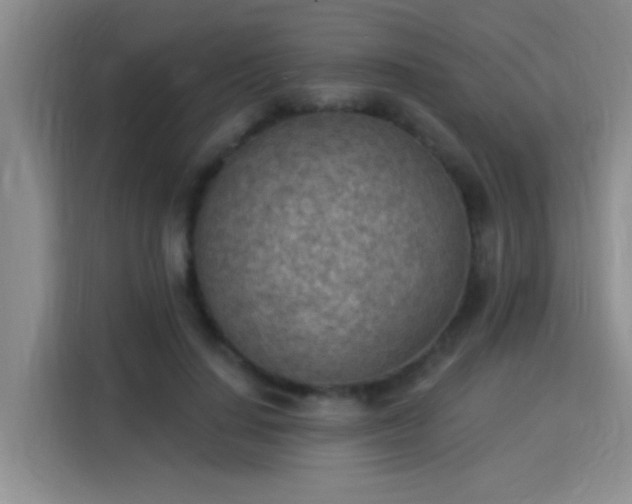 X0000115850644200911201614