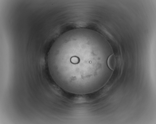 X0000115850655200911201614