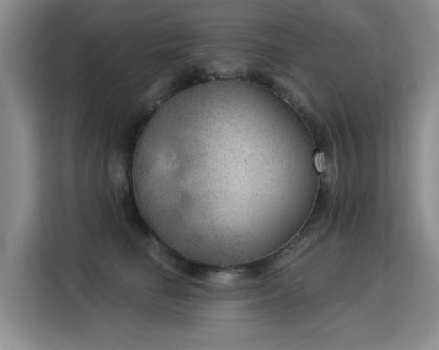 X0000115850662200911201614