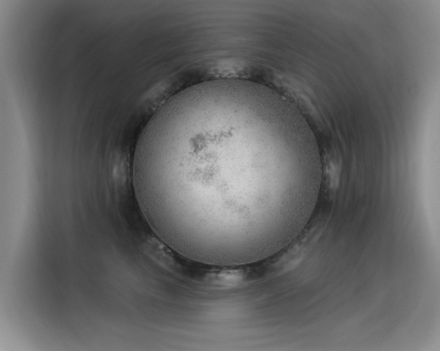 X0000115850665200911201614