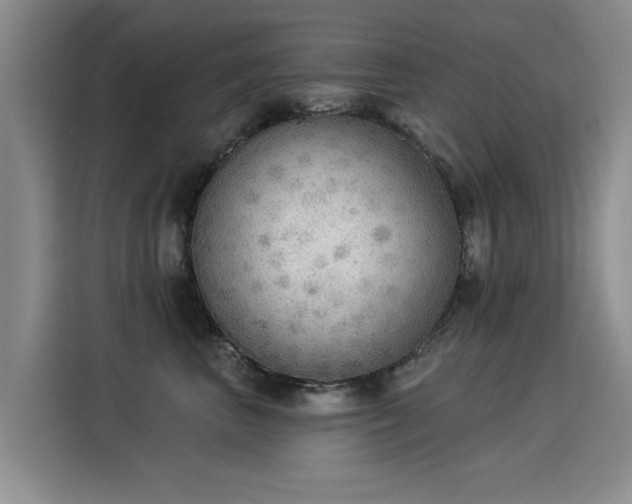 X0000115850667200911201615