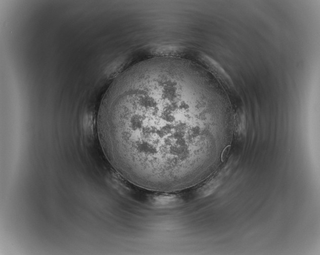 X0000115850669200911201615