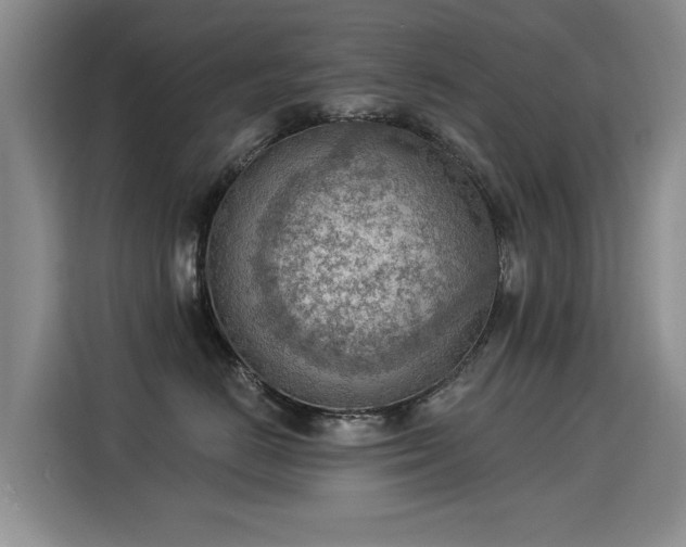 X0000115850670200911201615