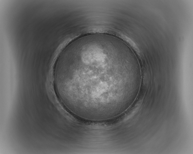 X0000115850673200911201614