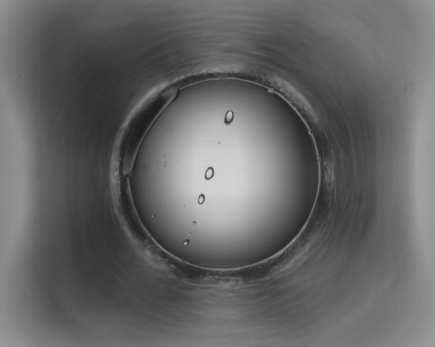 X0000115850676200911201614
