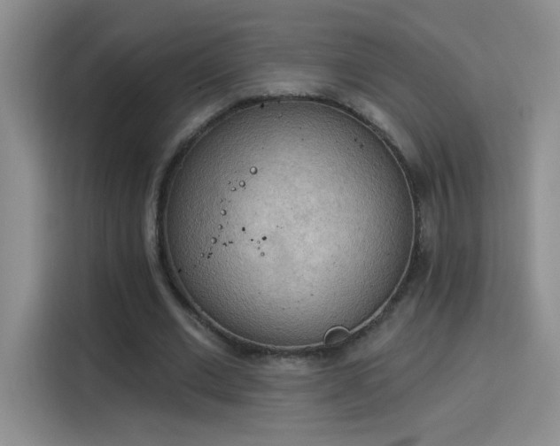X0000115850677200911201614