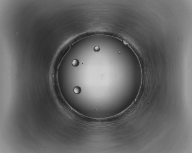 X0000115850680200911201614