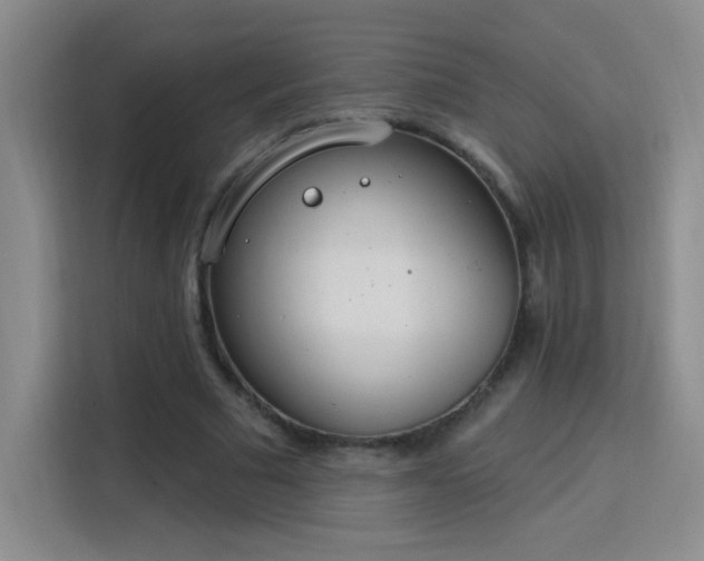 X0000115850681200911201614
